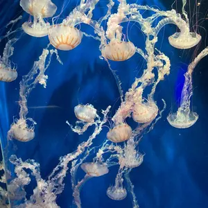 アドベンチャータイム 画集 タイトルカードシーズン1.2 - メルカリ