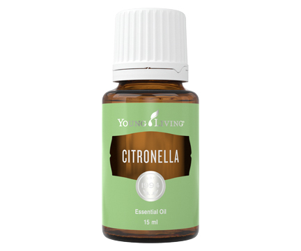 Citronella Essential Oil | ヤング・リヴィング精油 | Young Living