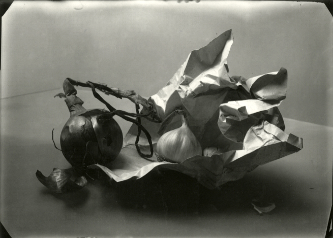 Josef Sudek « Stephen Daiter Gallery
