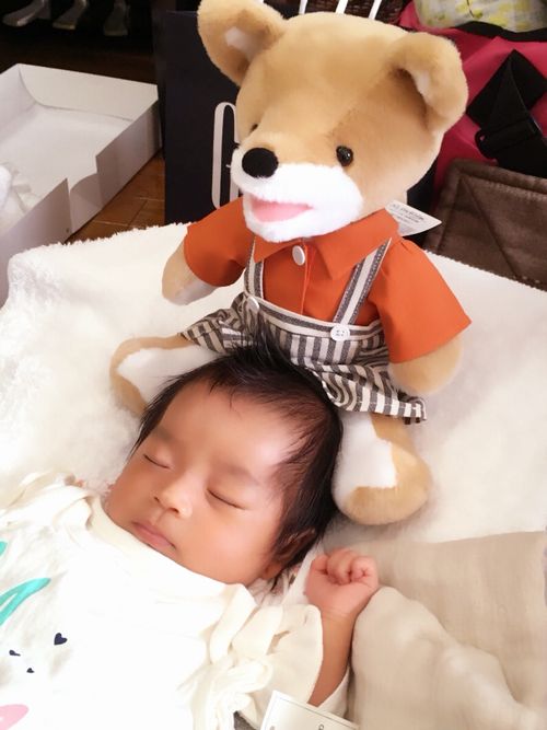 絵本『こんとあき』からこんが飛び出した！！お出かけも、おやすみも