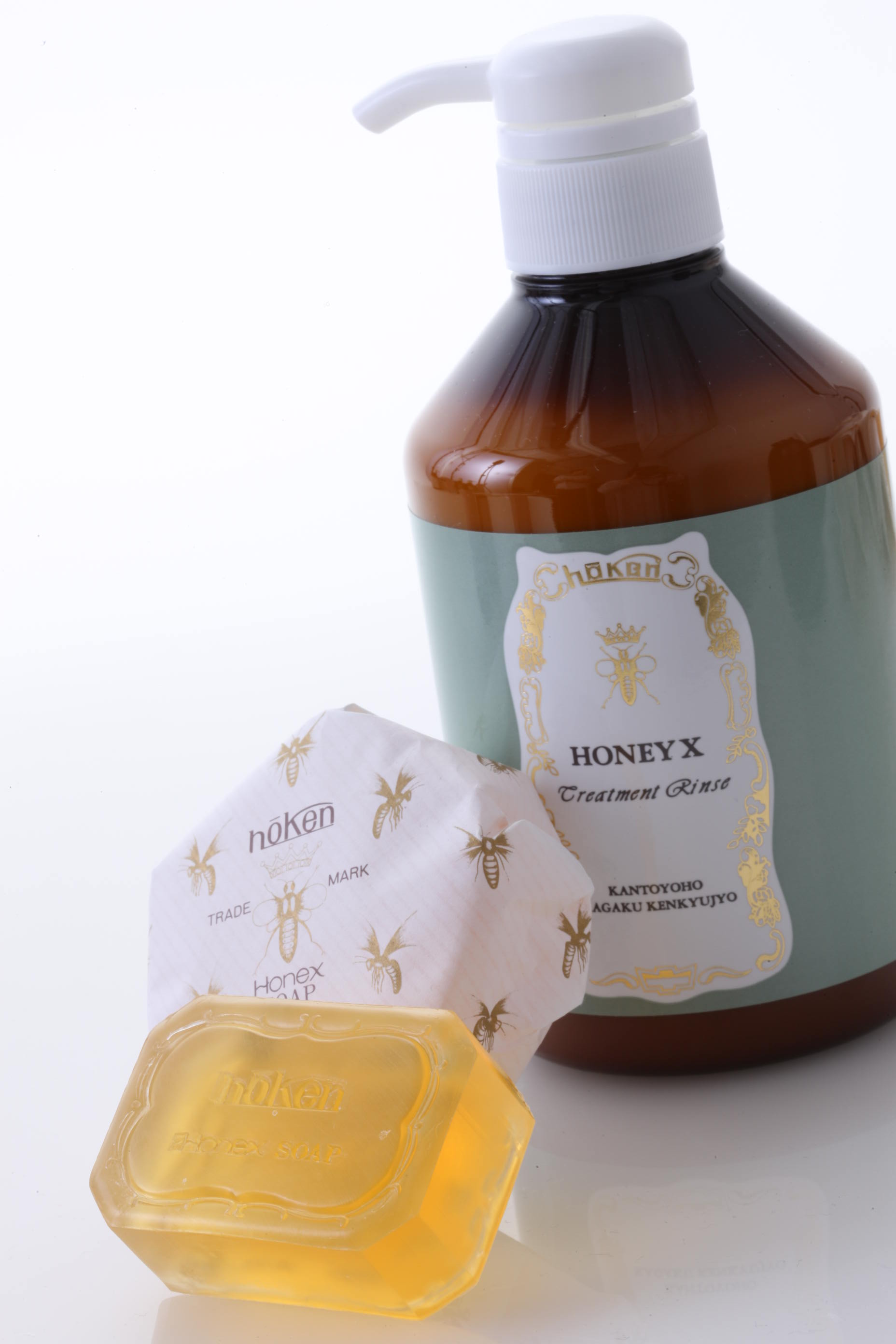 HOKEN/HONEYX トリートメントリンス -はちみつの恵みが生きた、頭皮に