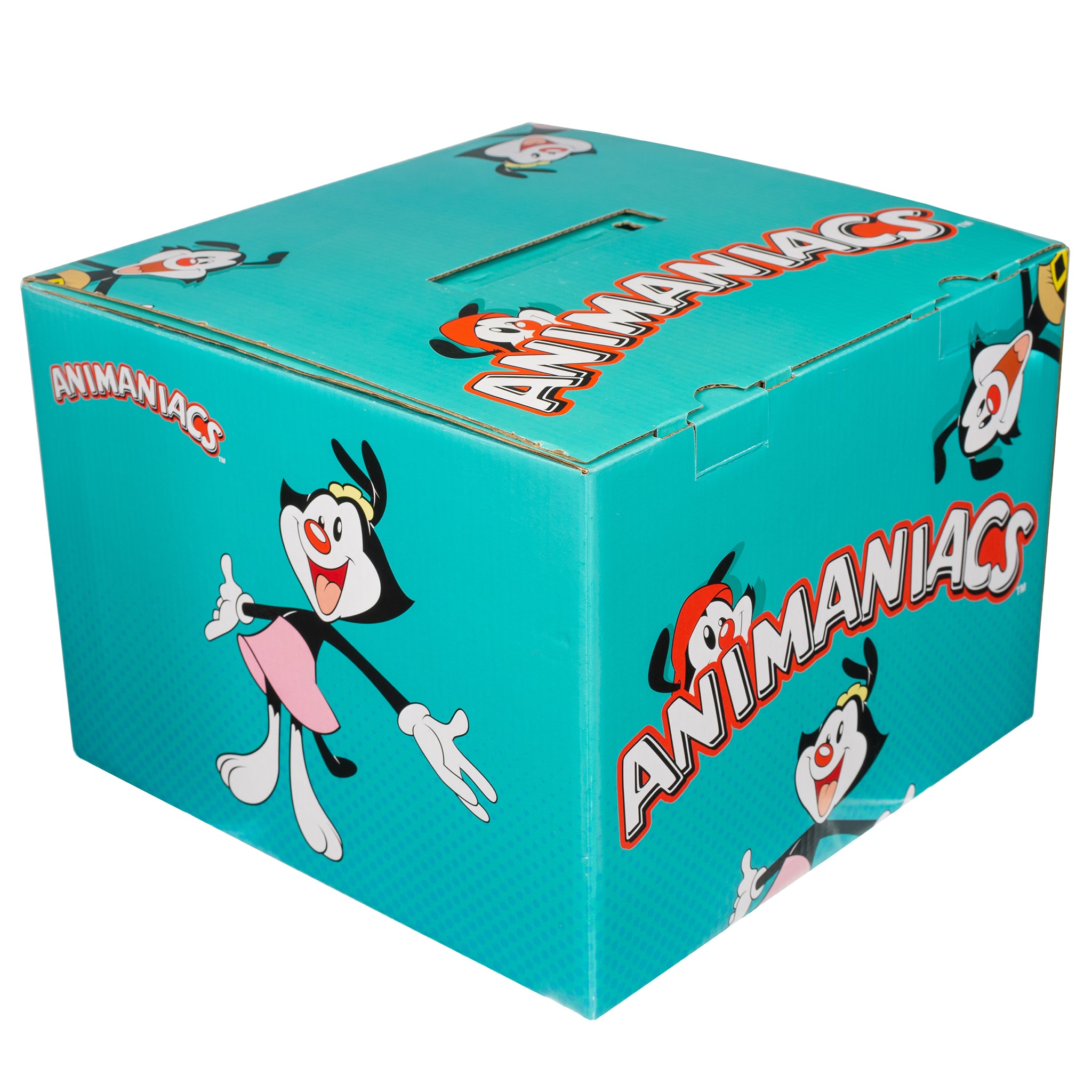 Animaniacs Mystery Box – Stylin Boxes